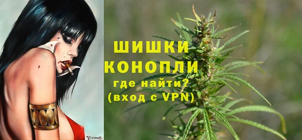 молекула духа Балахна