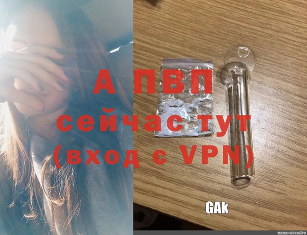 ECSTASY Баксан